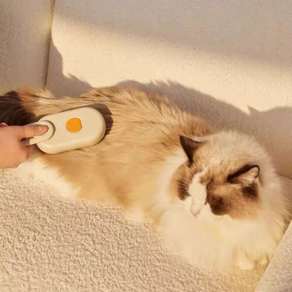 Cat Steam Brush Steamy Dog Brush 3 in 1 Electric Spray Massage Pet Grooming UK