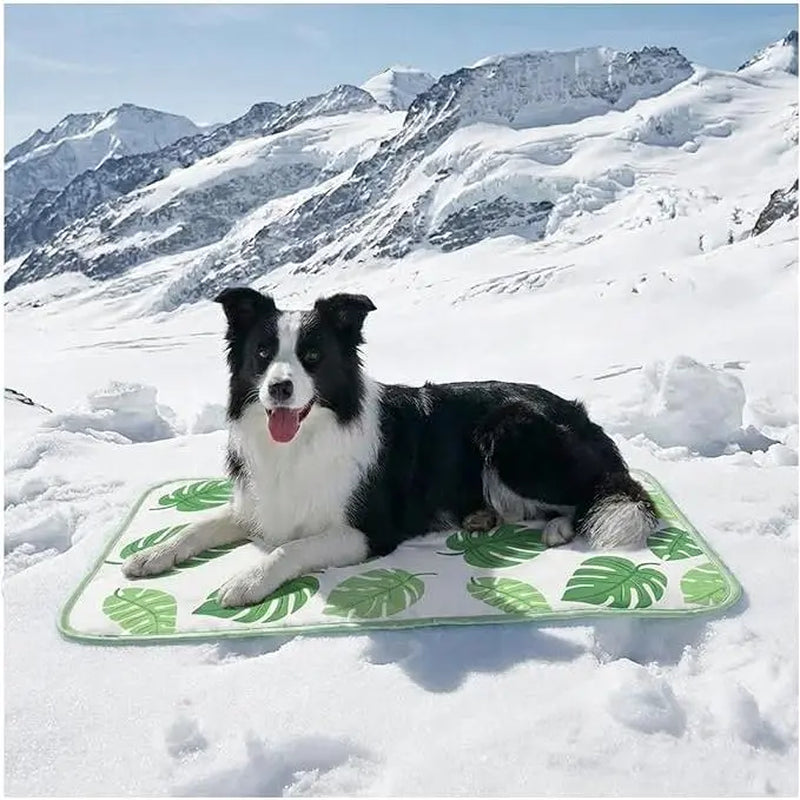 Furrybaby Dog Cooling Mat for Large Dogs, 30"X20" Self Cooling Pet Cooling Mat for Dogs & Cats, QMAX>0.5, Thickened Cool Fiber, Cooling Pad for Dog Bed, Durable Portable Indoor/Outdoor Summer,Blue