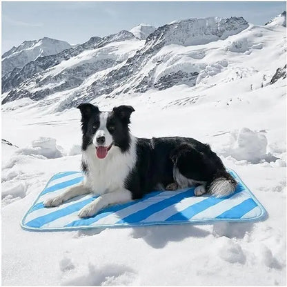 Furrybaby Dog Cooling Mat for Large Dogs, 30"X20" Self Cooling Pet Cooling Mat for Dogs & Cats, QMAX>0.5, Thickened Cool Fiber, Cooling Pad for Dog Bed, Durable Portable Indoor/Outdoor Summer,Blue